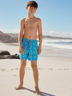 Next - Shorts de bain imprimés (3-16yrs) Bleu
