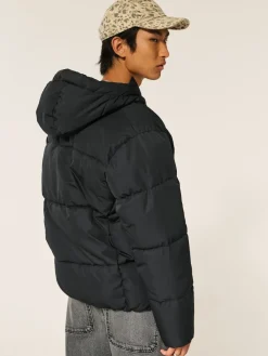 Hollister Manteau Core Puffer noir avec doublure contrastante|Homme Manteaux Et Vestes