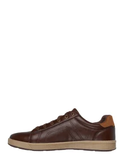 Discount Skechers Marron - Baskets Cavell Hensley