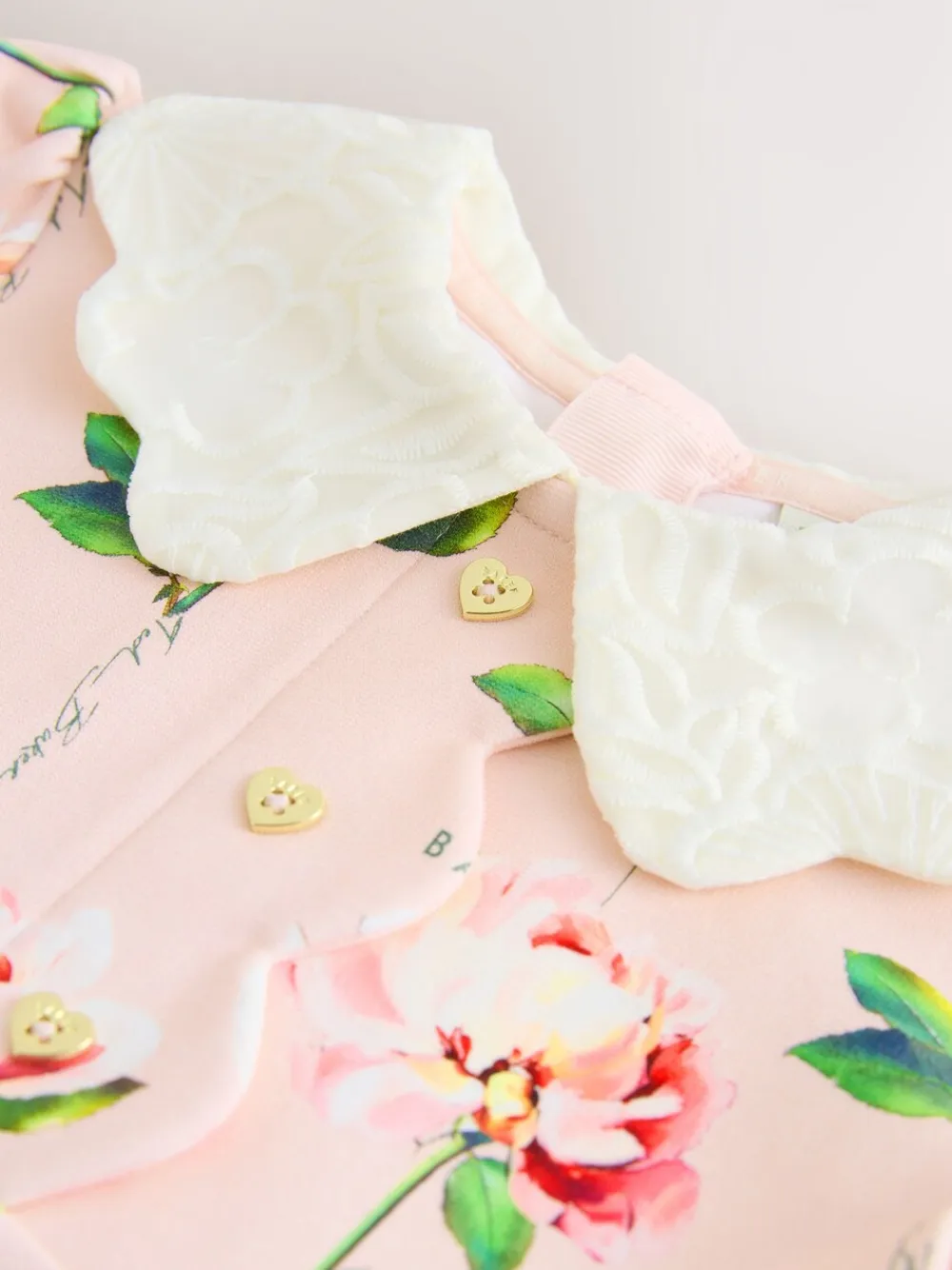 Baker by Ted Baker Rose - Robe Ponte à col en dentelle| Robes|Robes